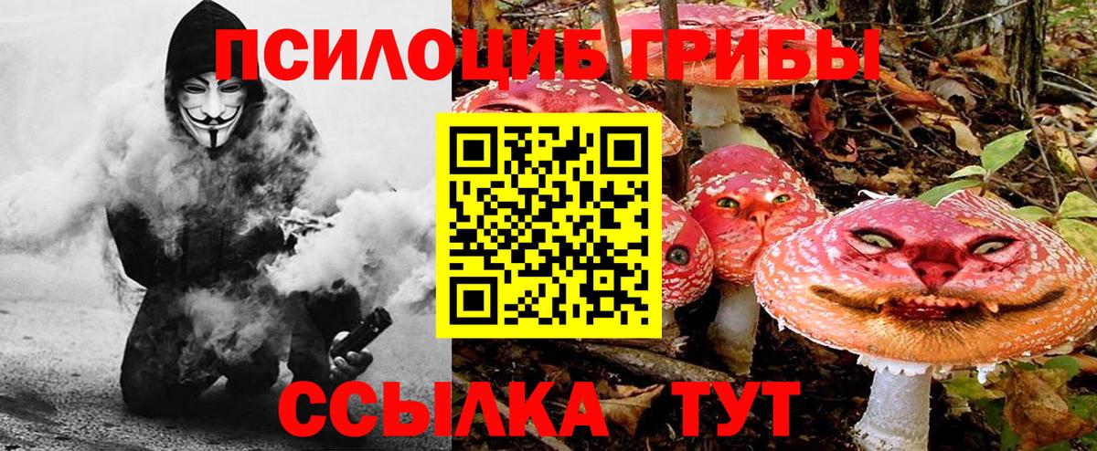 даркнет сайт  Вход с VPN  Улан-Удэ  Галлюциногенные грибы Psilocybe  Псилоцибиновые грибы Cubensis 