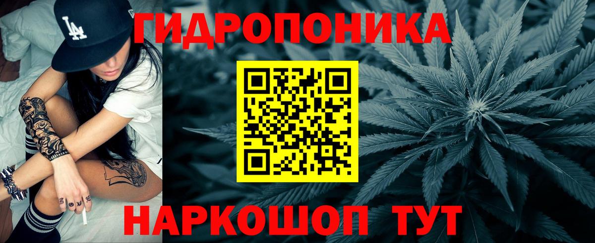 Каннабис план  Шишки марихуана гибрид  Канабис VHQ  Улан-Удэ  Вход с VPN 
